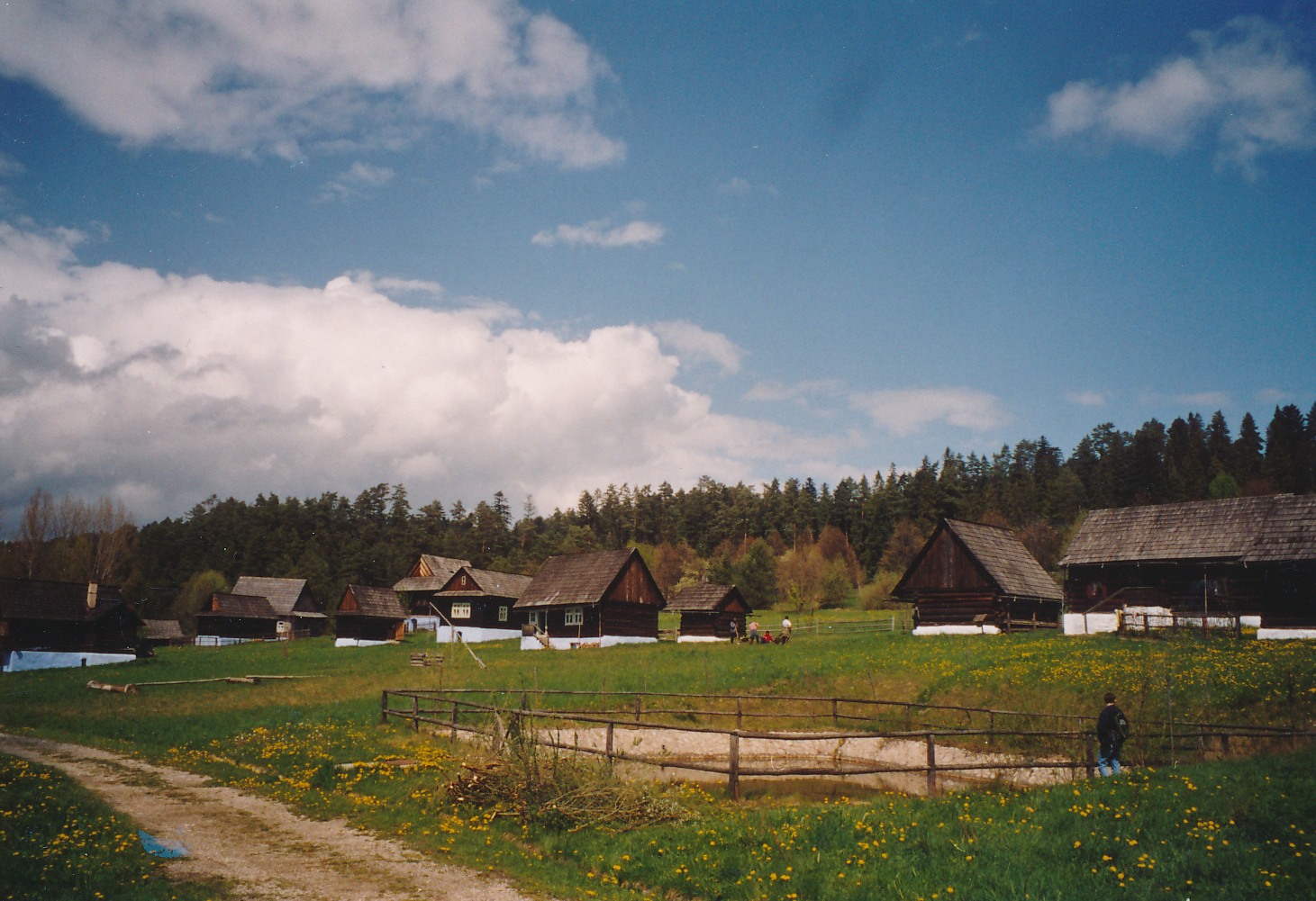 eika image